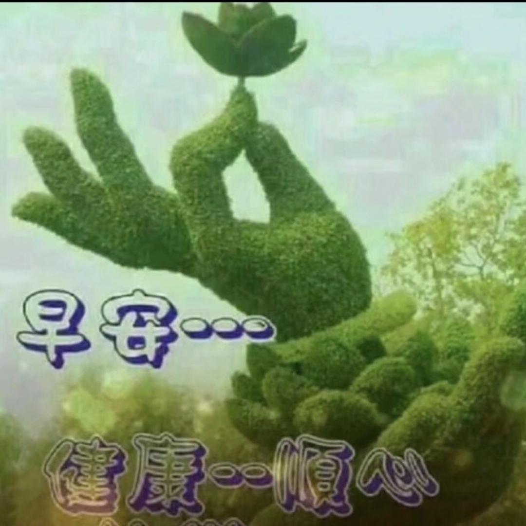 独木桥