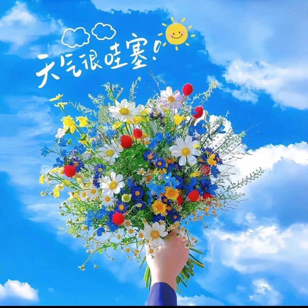 事事顺遂