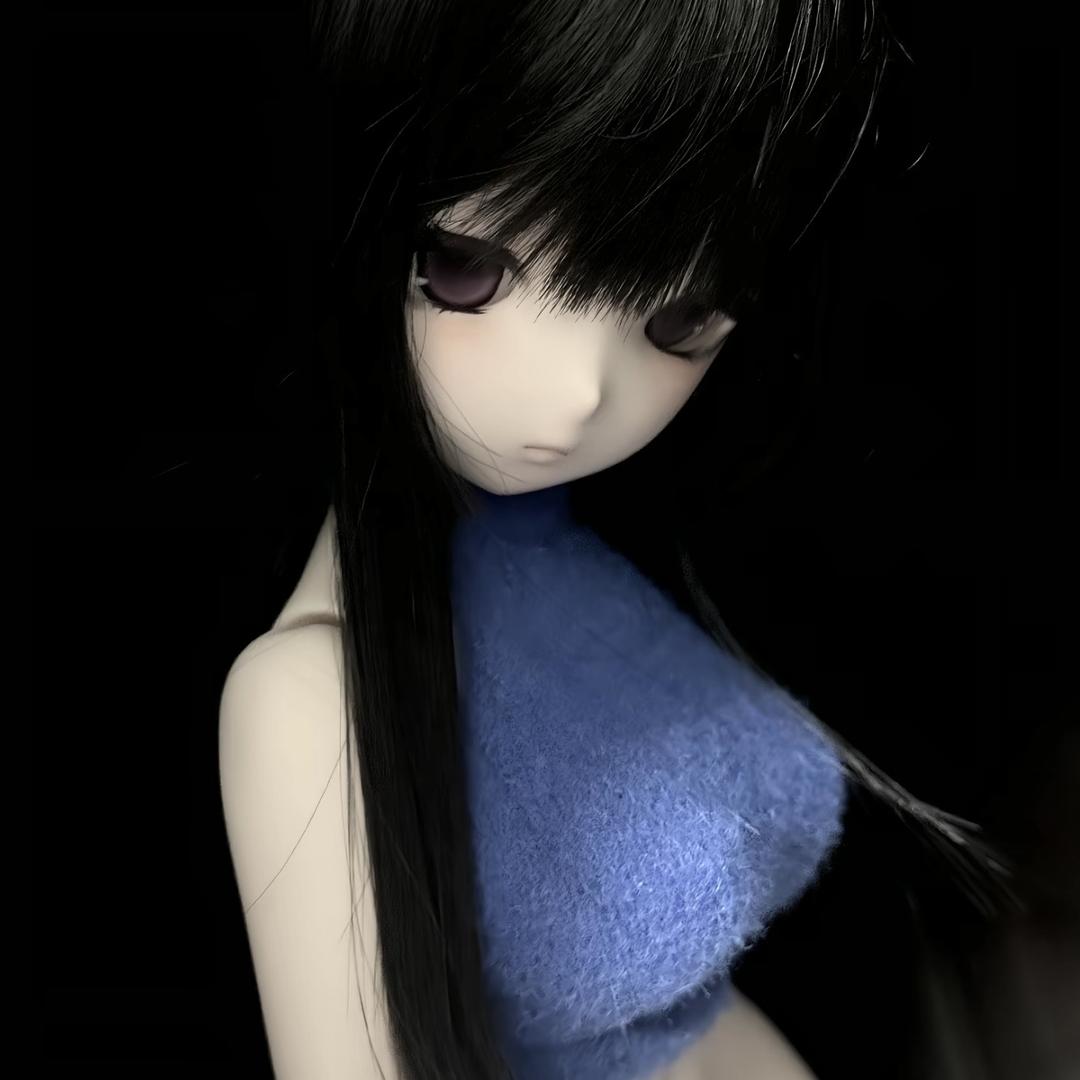 小貓主人