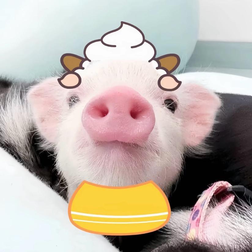 独佳回忆