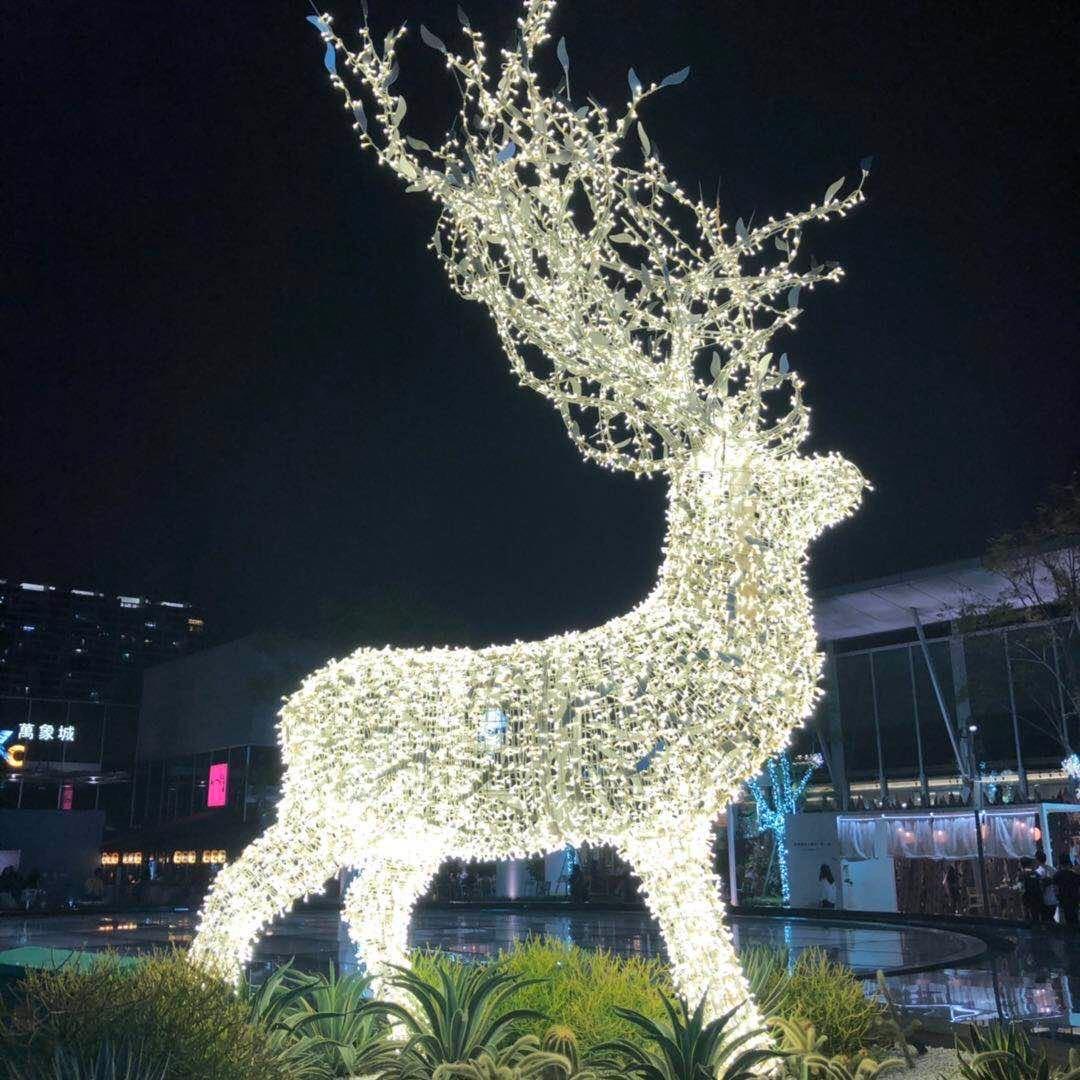 哦哦哦哦