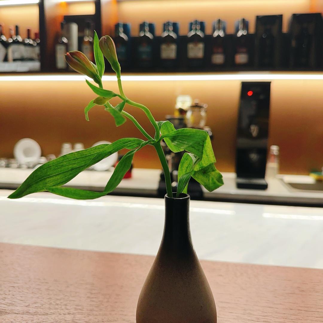 牛油果