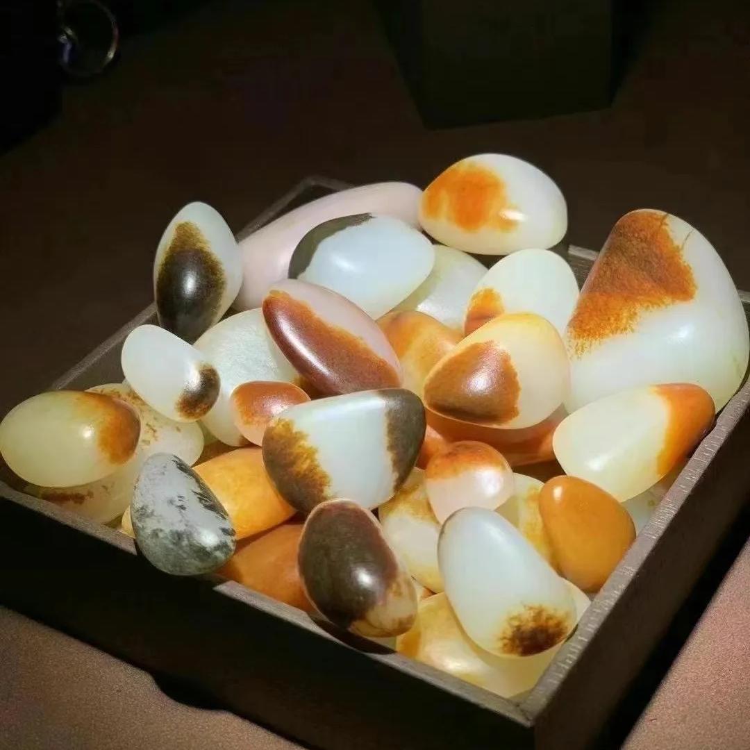 科举珍奇