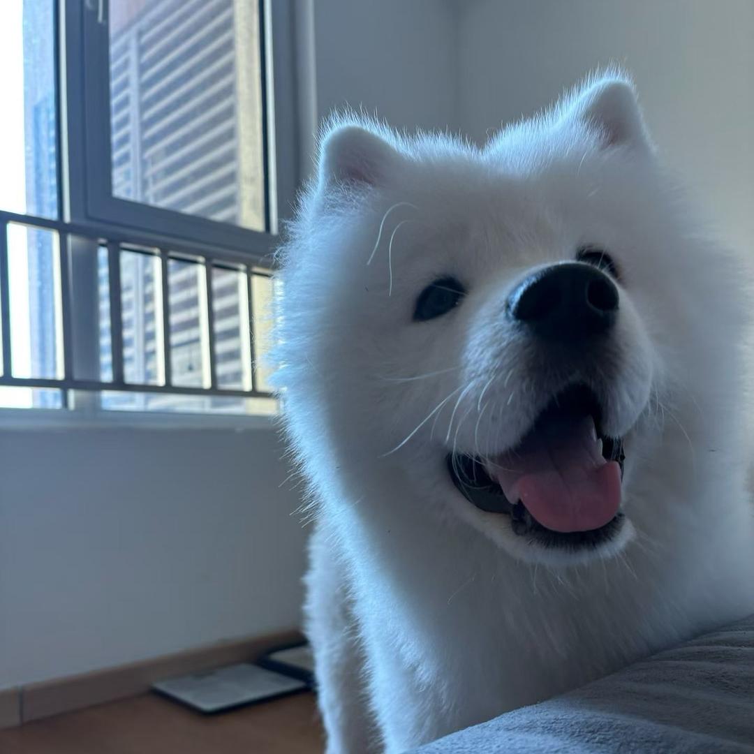 艾特小北