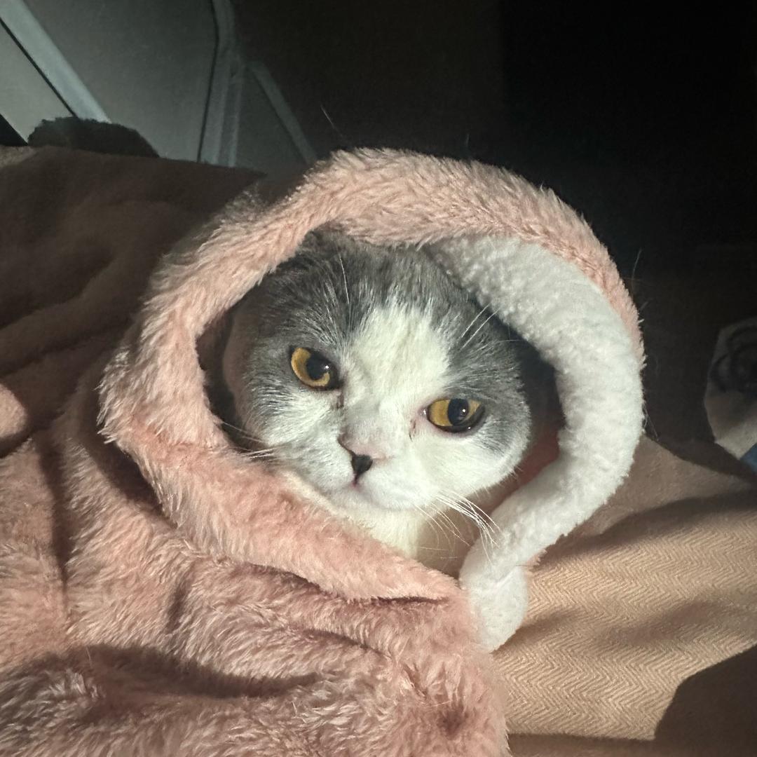 想做个随性的人