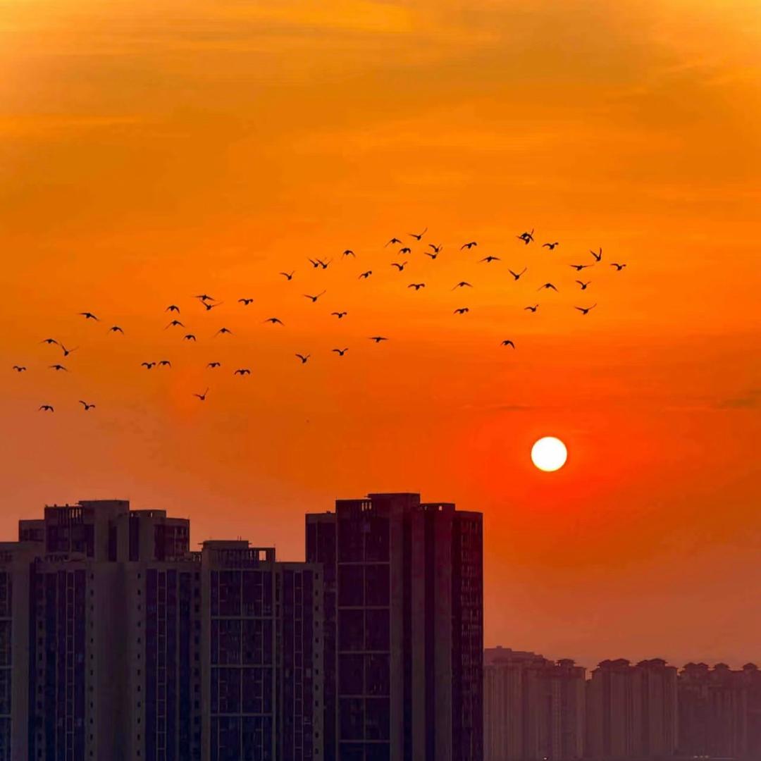 小李的无聊生活