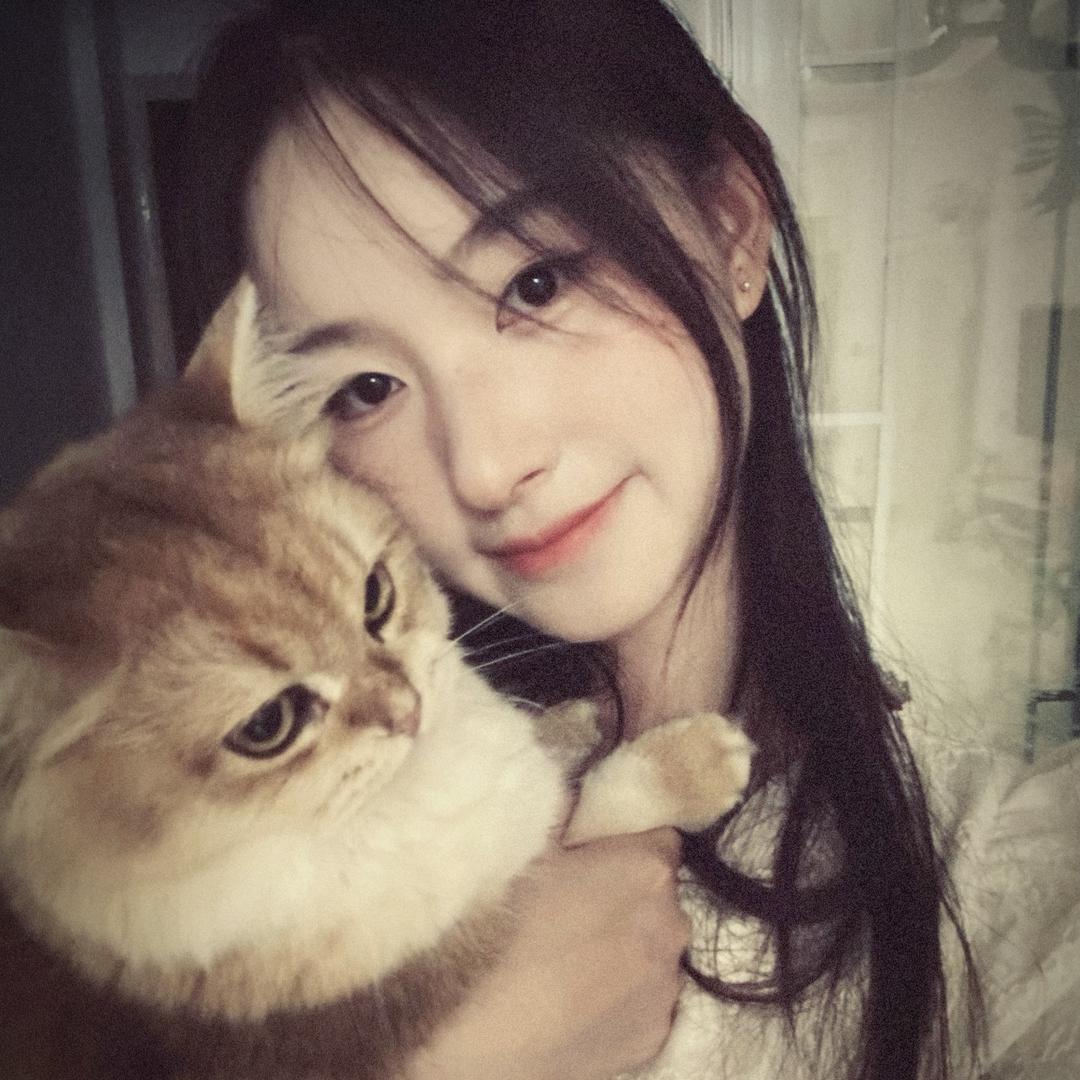 林木森森