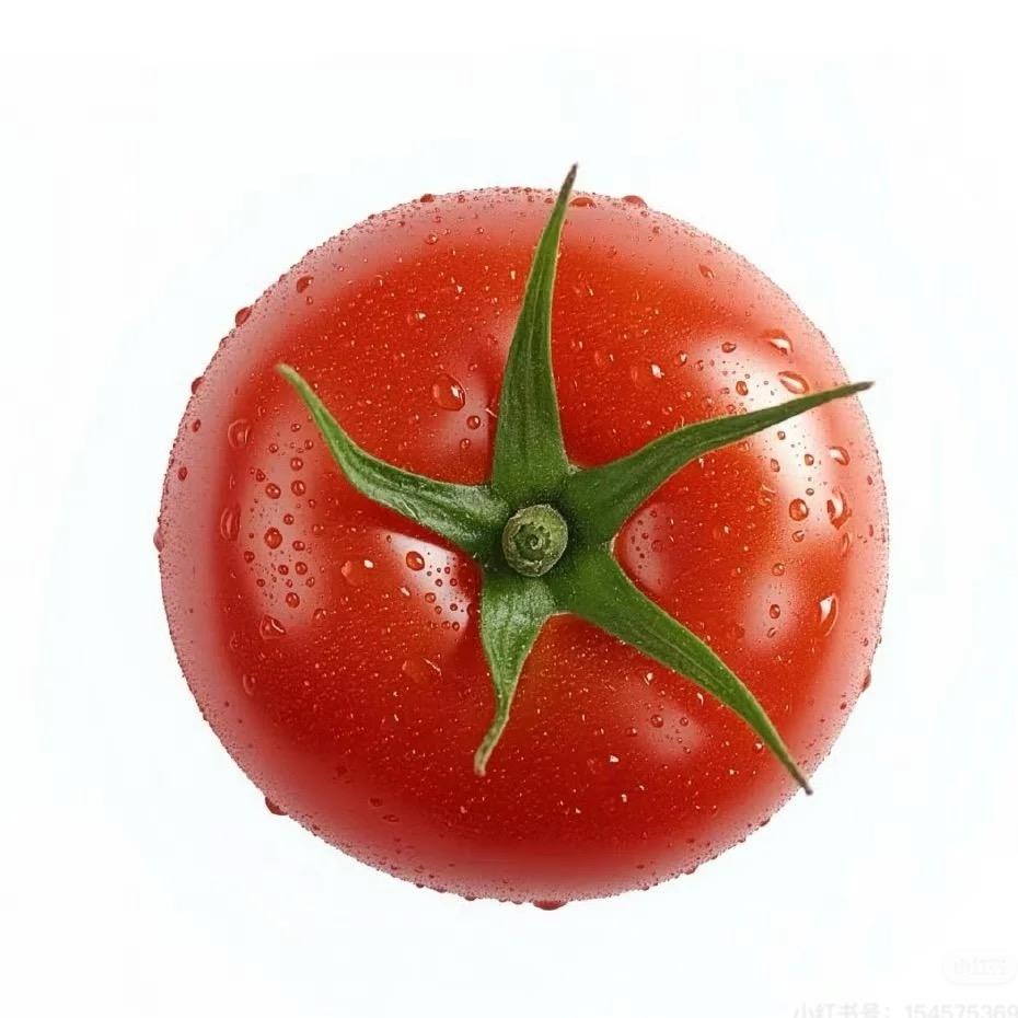西红柿🍅