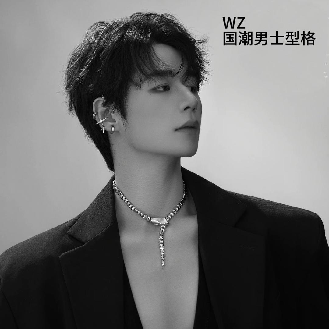 WZ国潮男士型格官方号
