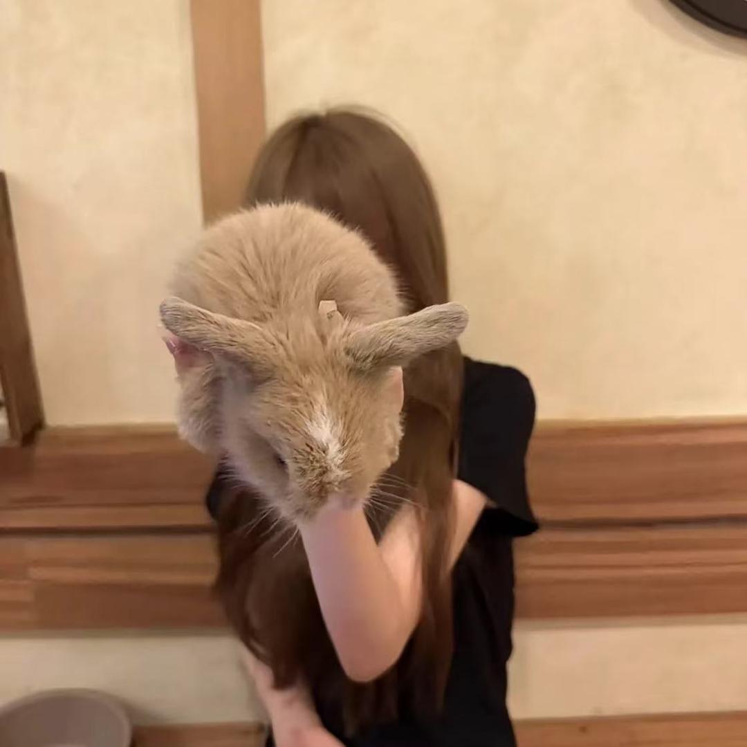 泪痣.