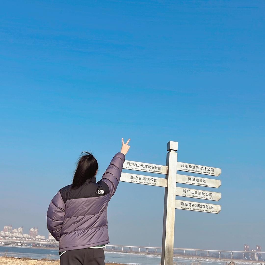 四喜丸子