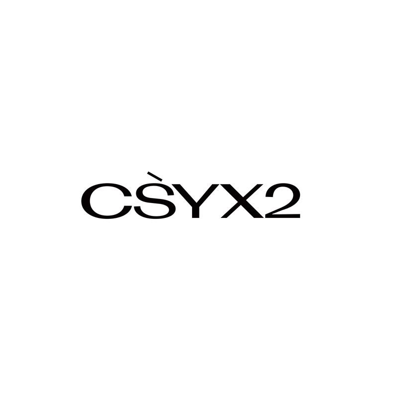 CSYX2女装旗舰店
