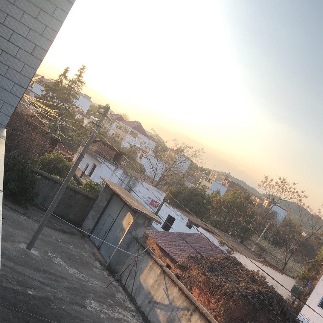 张二娃