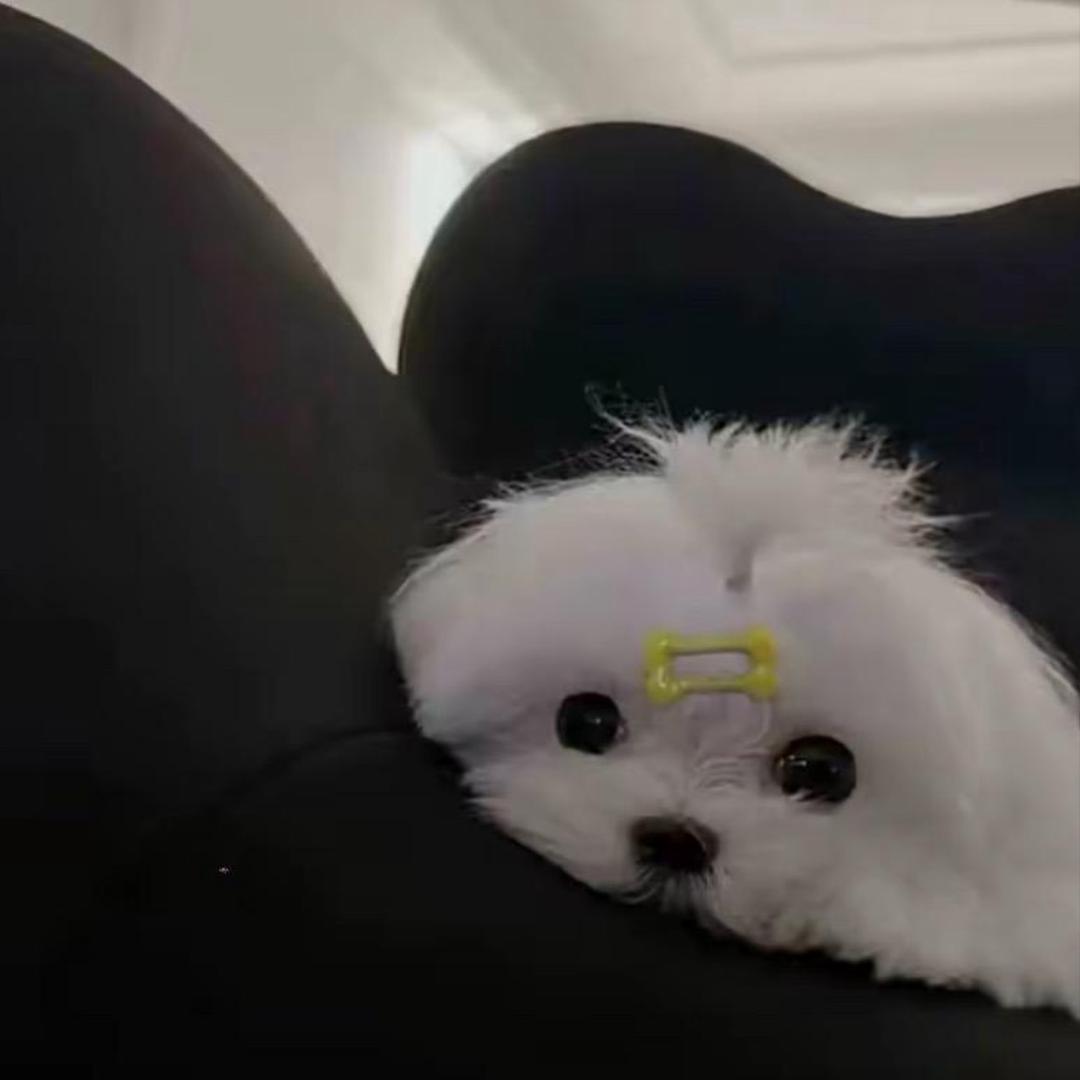ZZ