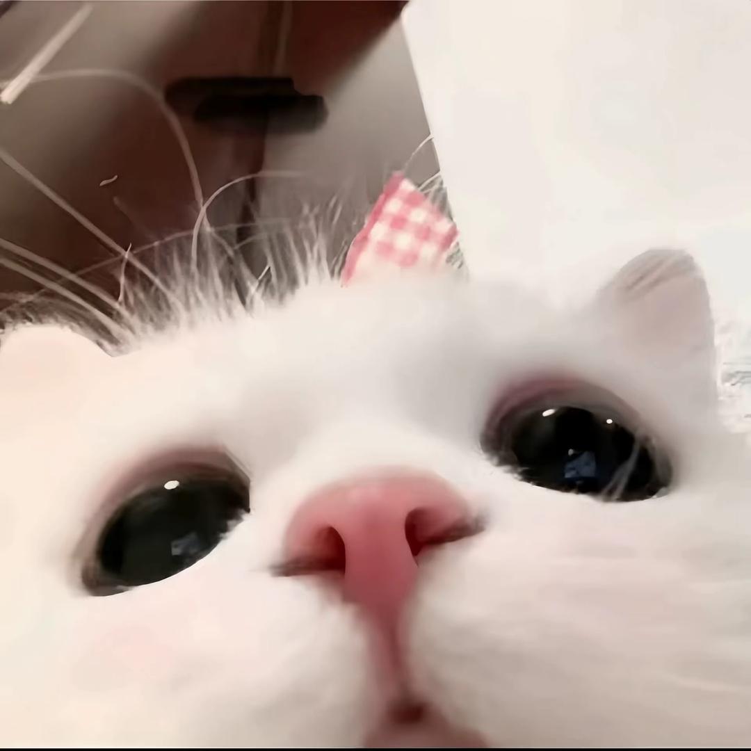 1·