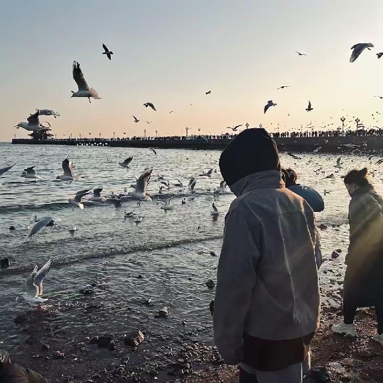 锋记蔬菜批发配送