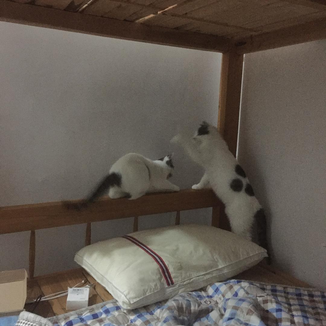 听说你在找我
