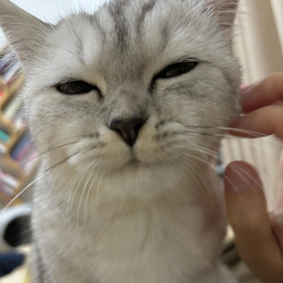 新