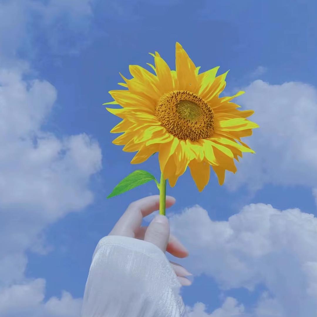 🌈沉思