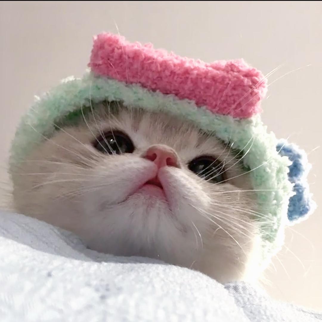 拂颜
