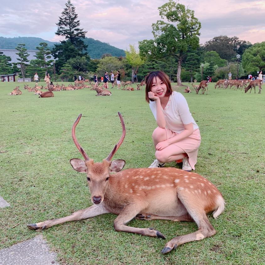 🍪奶思兔米鱿🍪