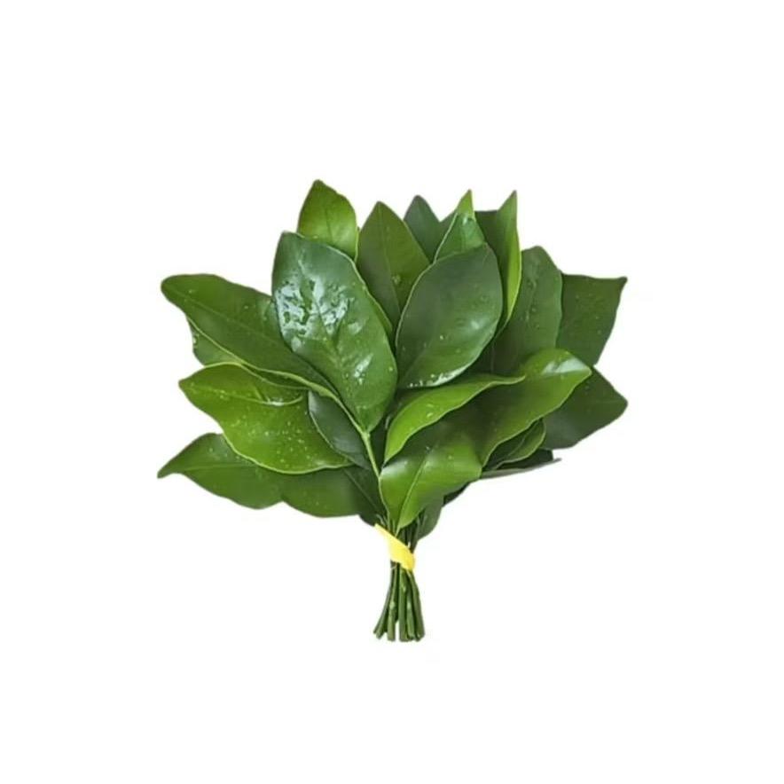 68岁母蟑螂🪳