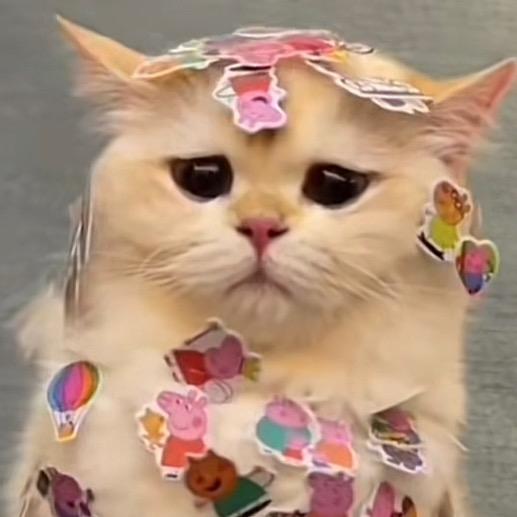 超级小木