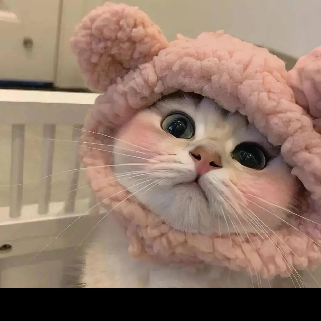 珂小萌