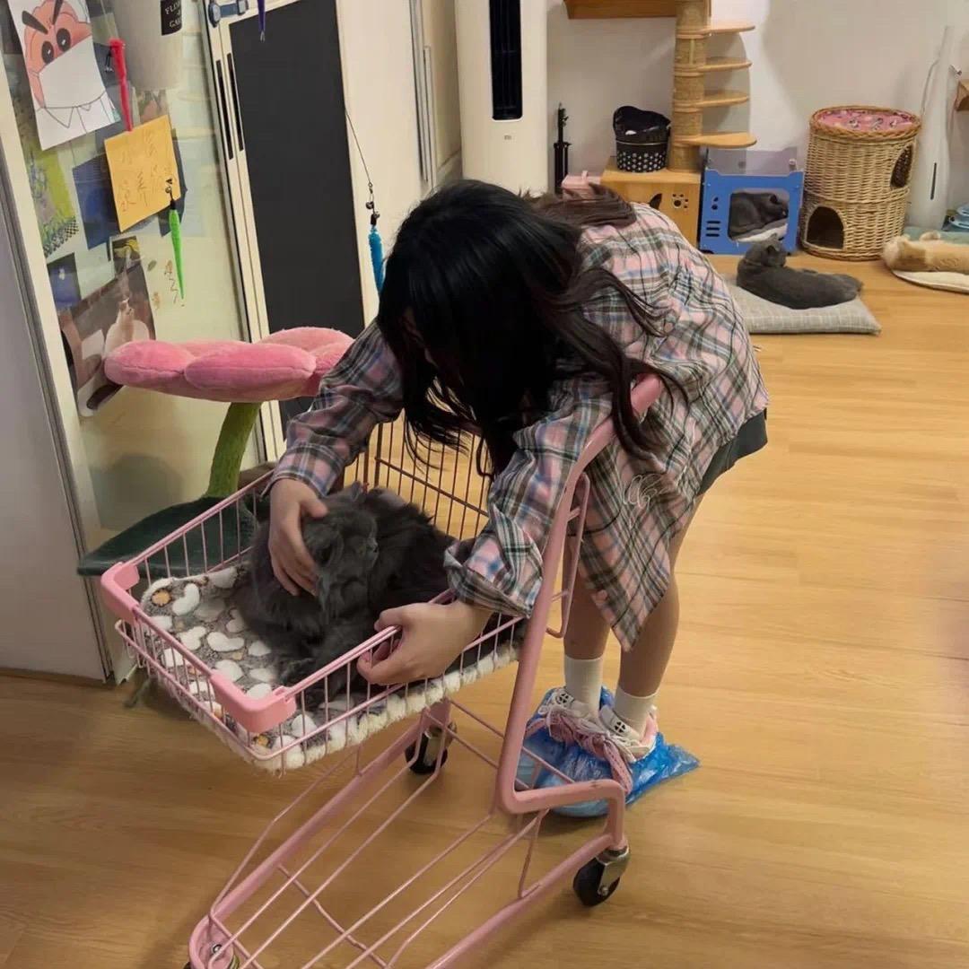 芸芸不是云云