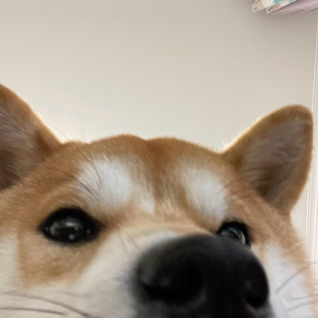 imnotzoeyun