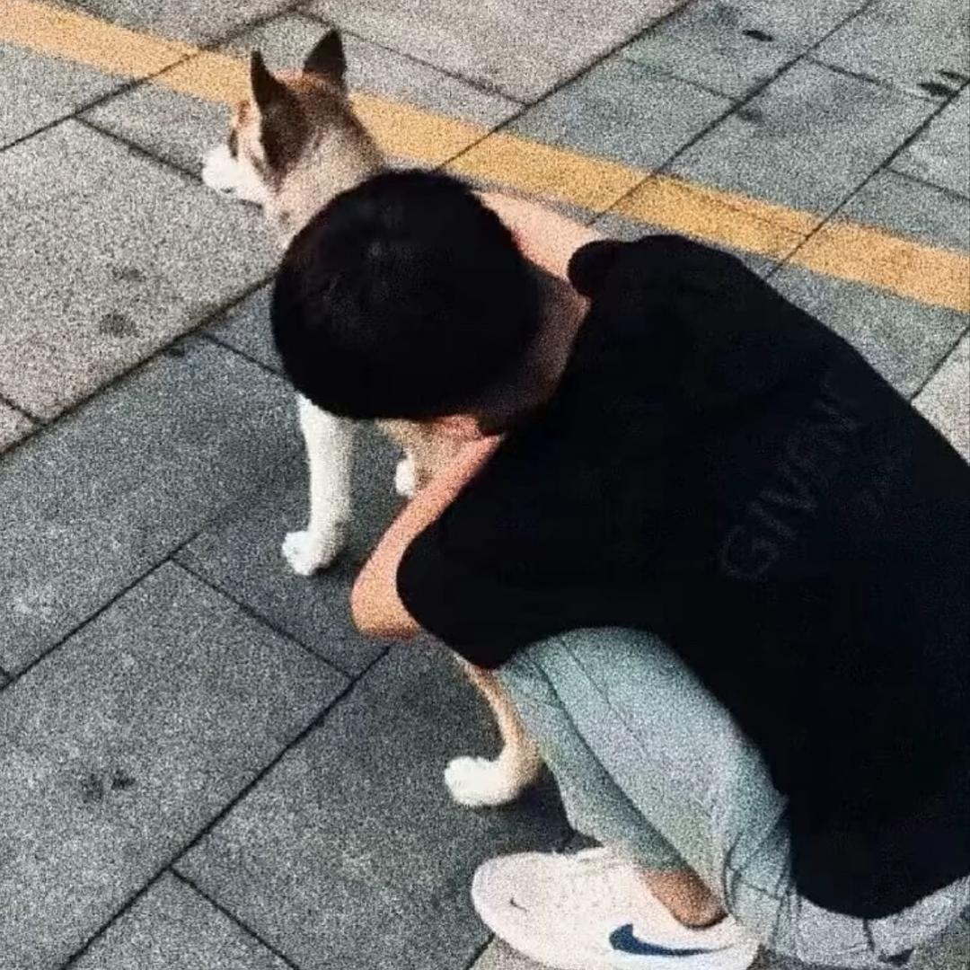 路斌.