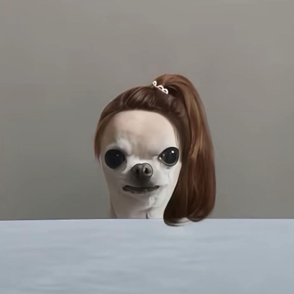 我不李解૮₍ ˊᗜˋ₎ა