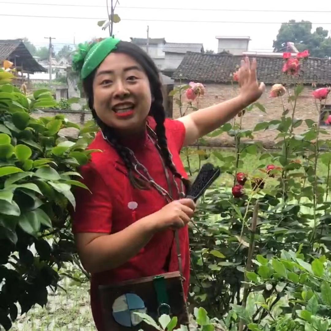 花花的欢乐