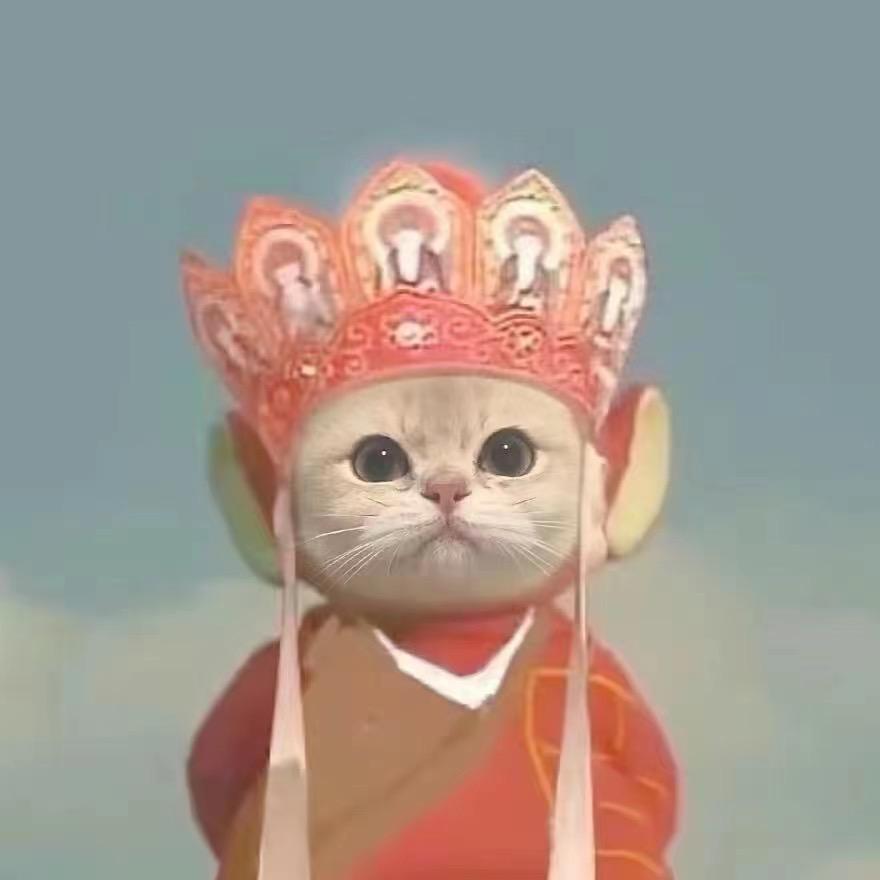 芯芯
