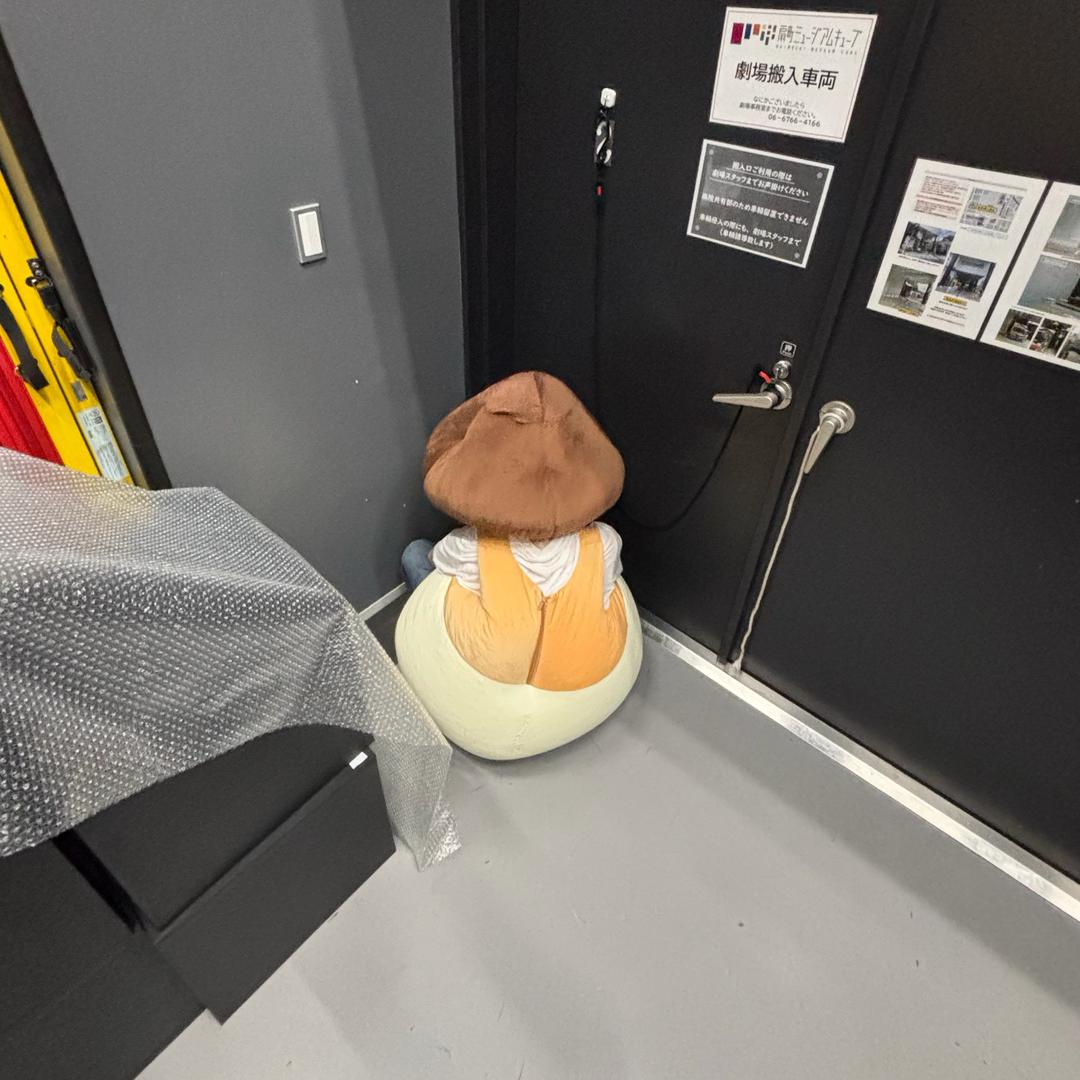 正在淑入中