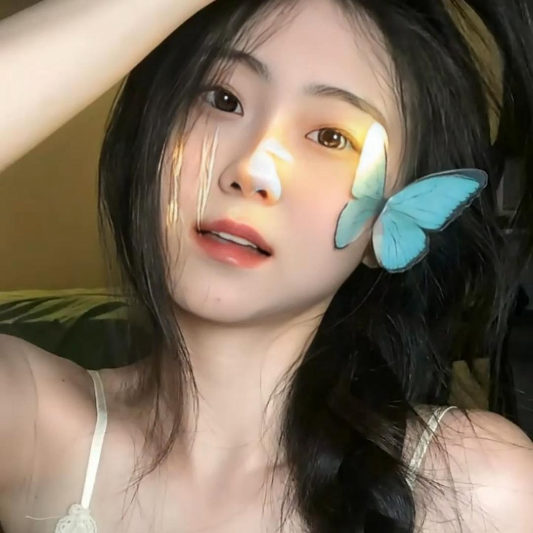楠宝