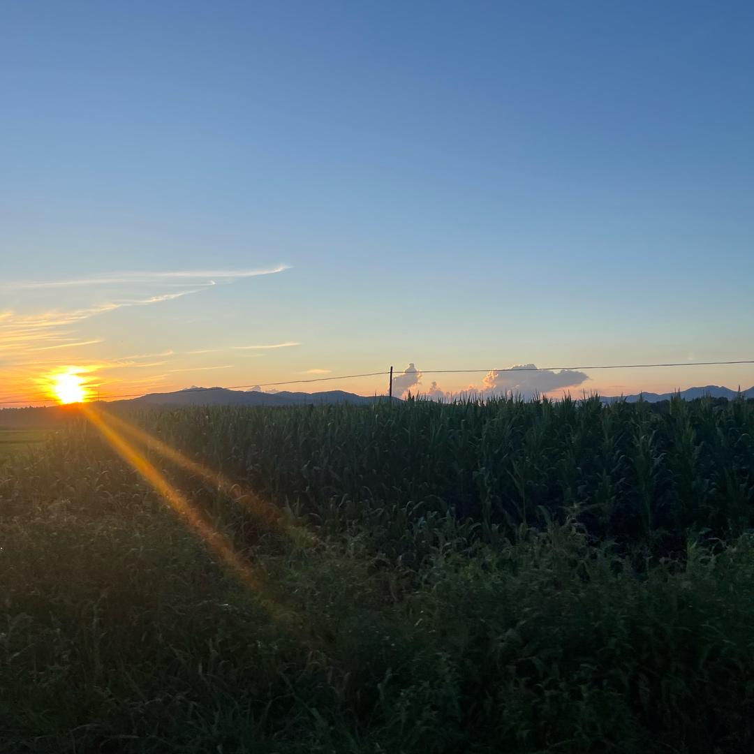 东北泉养山土特产