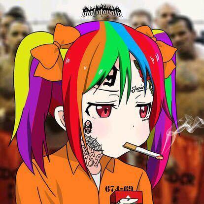 红薯不是番瓜