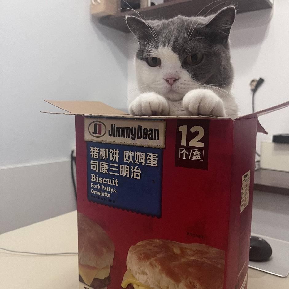 柏拉图
