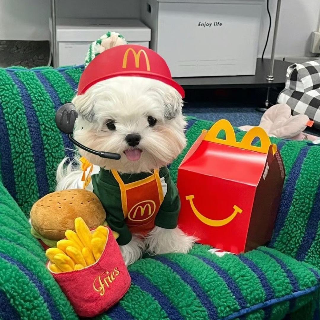 puppy