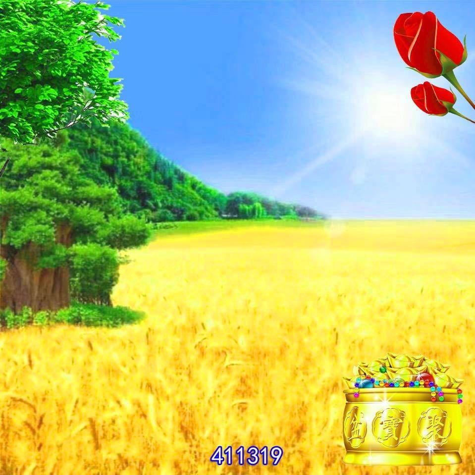 新农人——樊涛