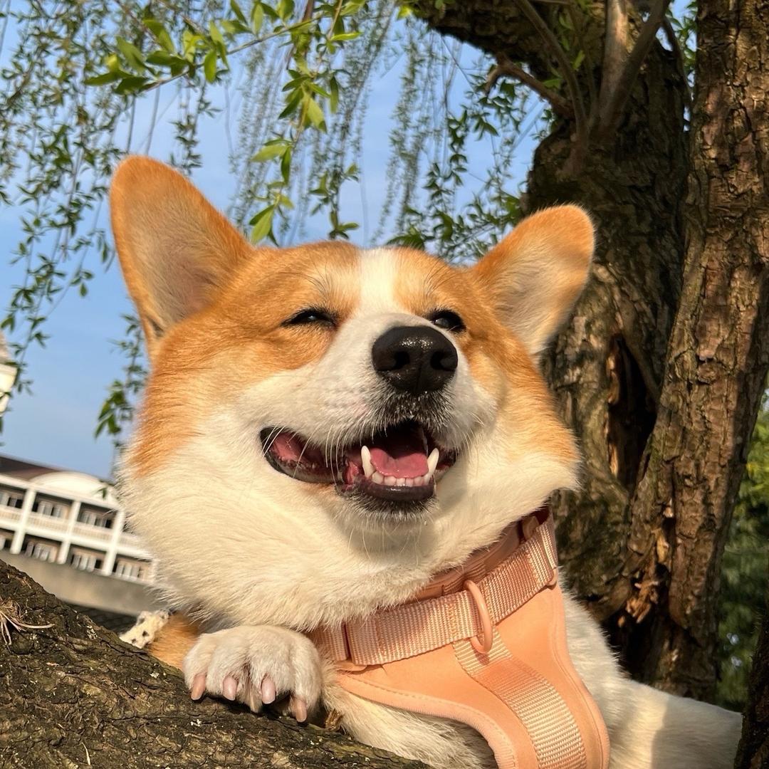 皮球要早睡