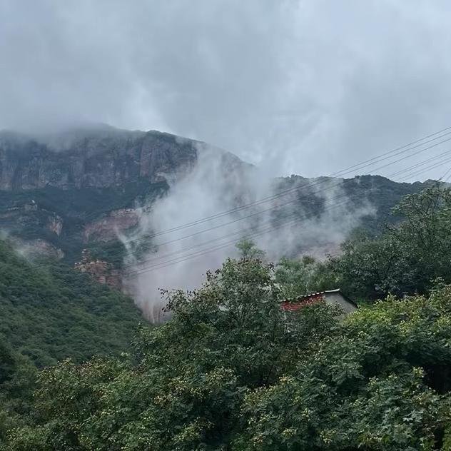 河北省景太行酸枣仁元气仓