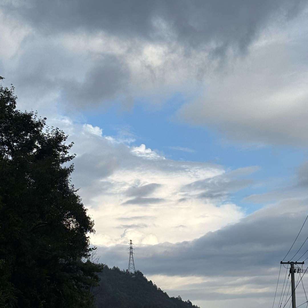 跑山十九妹
