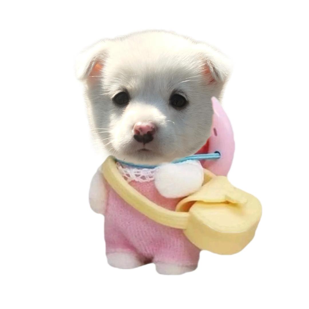 ༠ ᳐小蟑螂的鱼板 ᳐੭