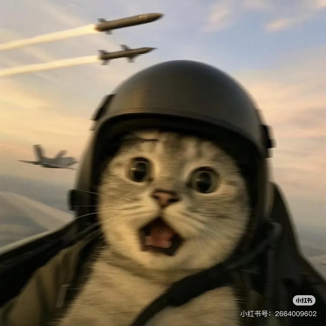 傅盆大猪潮玩（重生版）