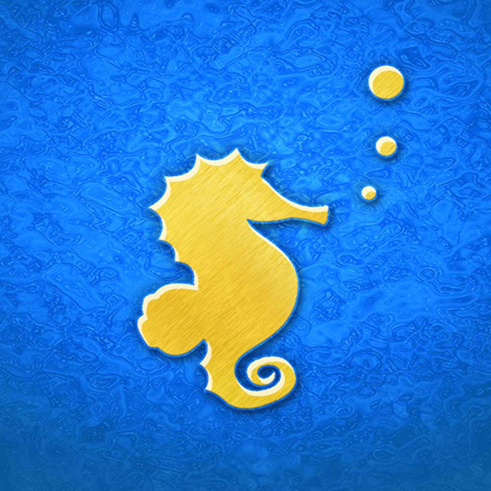 南京鱼匠海水鱼