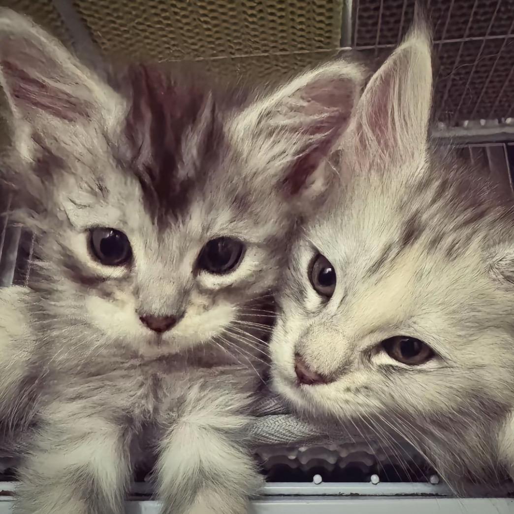 我也不太了解她