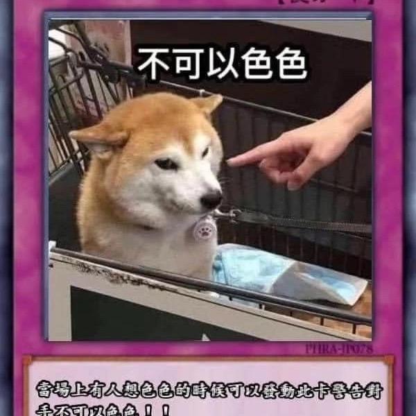 奥力给头像