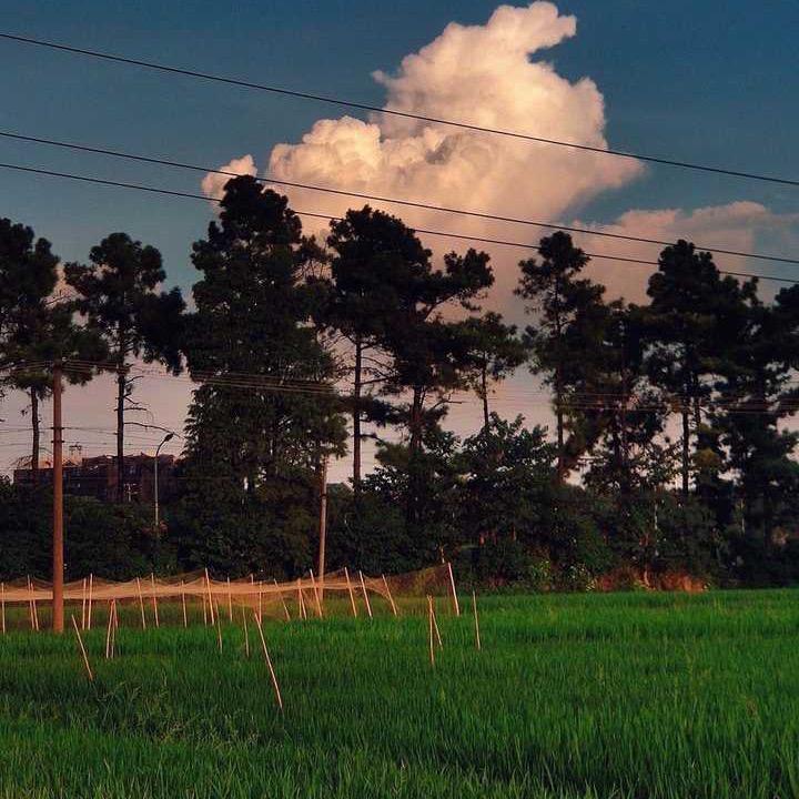 沐沐